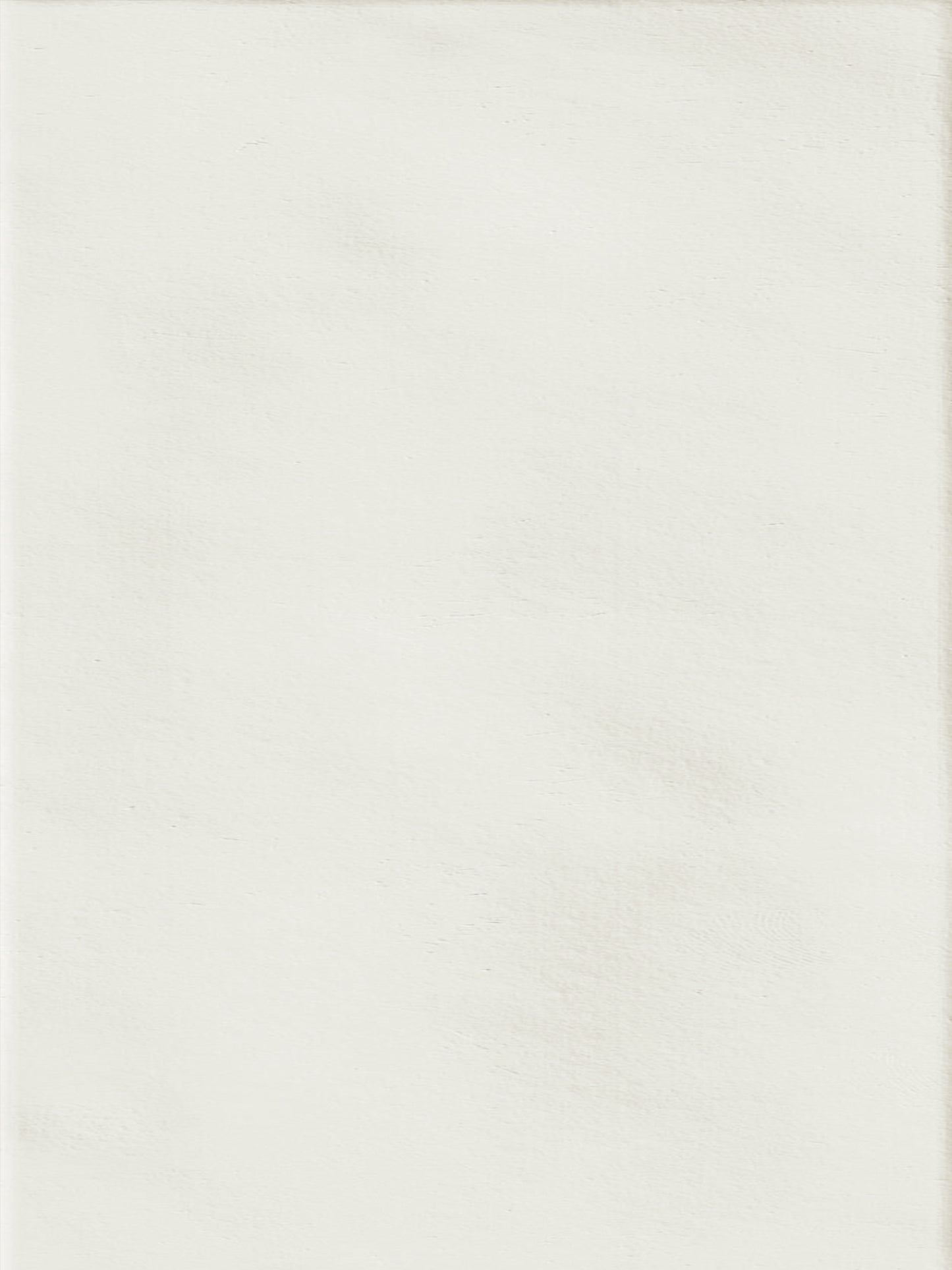 Porcelanato Nuances Neve Satin 8.20X25