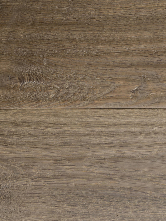 IMDI Chocolate Dream