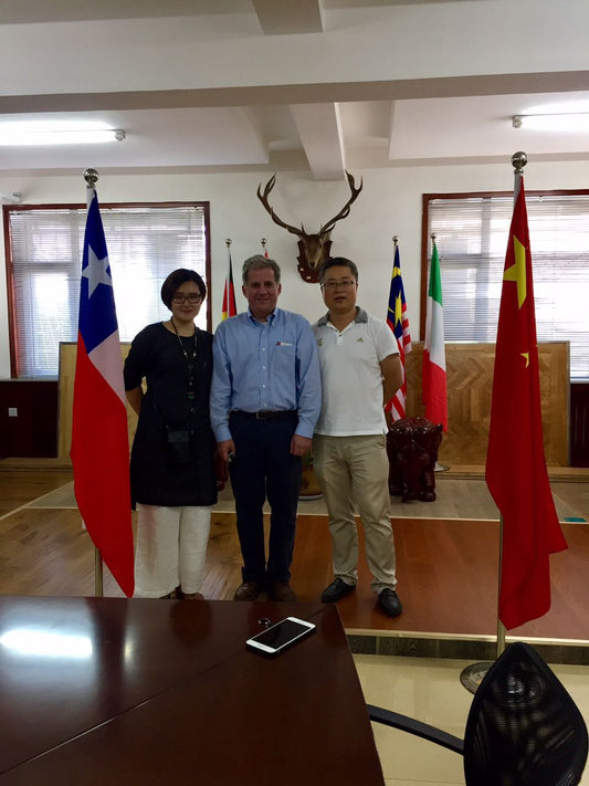 Proveedores de China