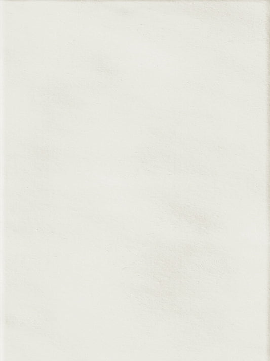 Porcelanato Nuances Neve Satin 8.20X25