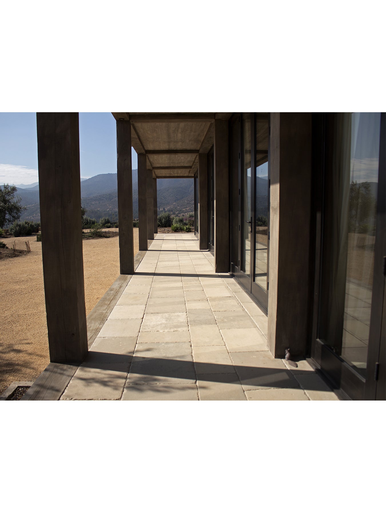 Imagen de portafolio