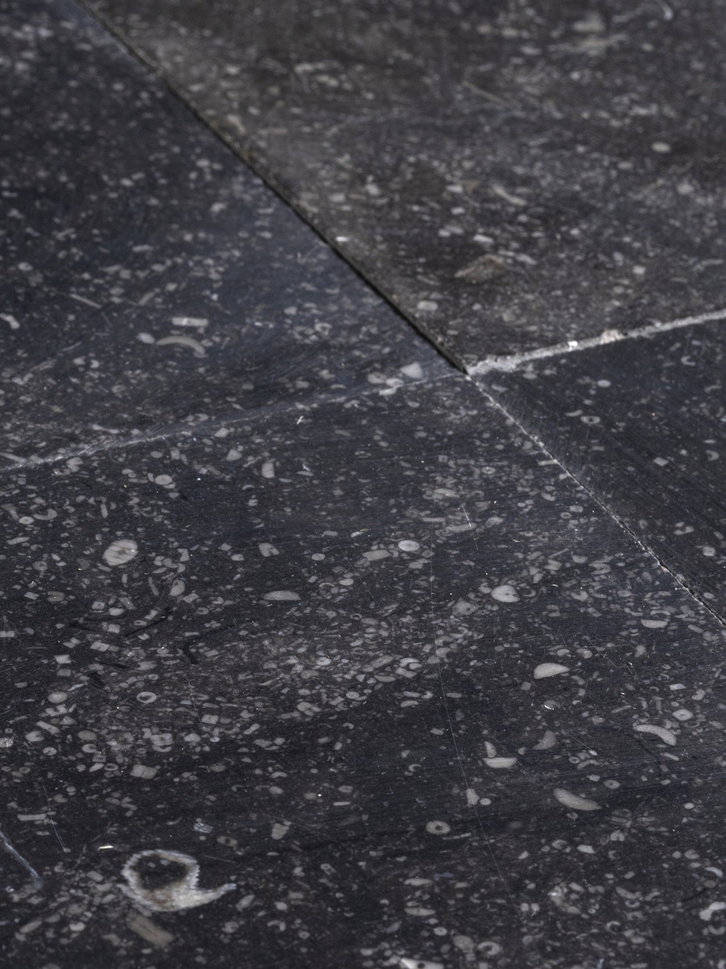 Bluestone Belga Pulida