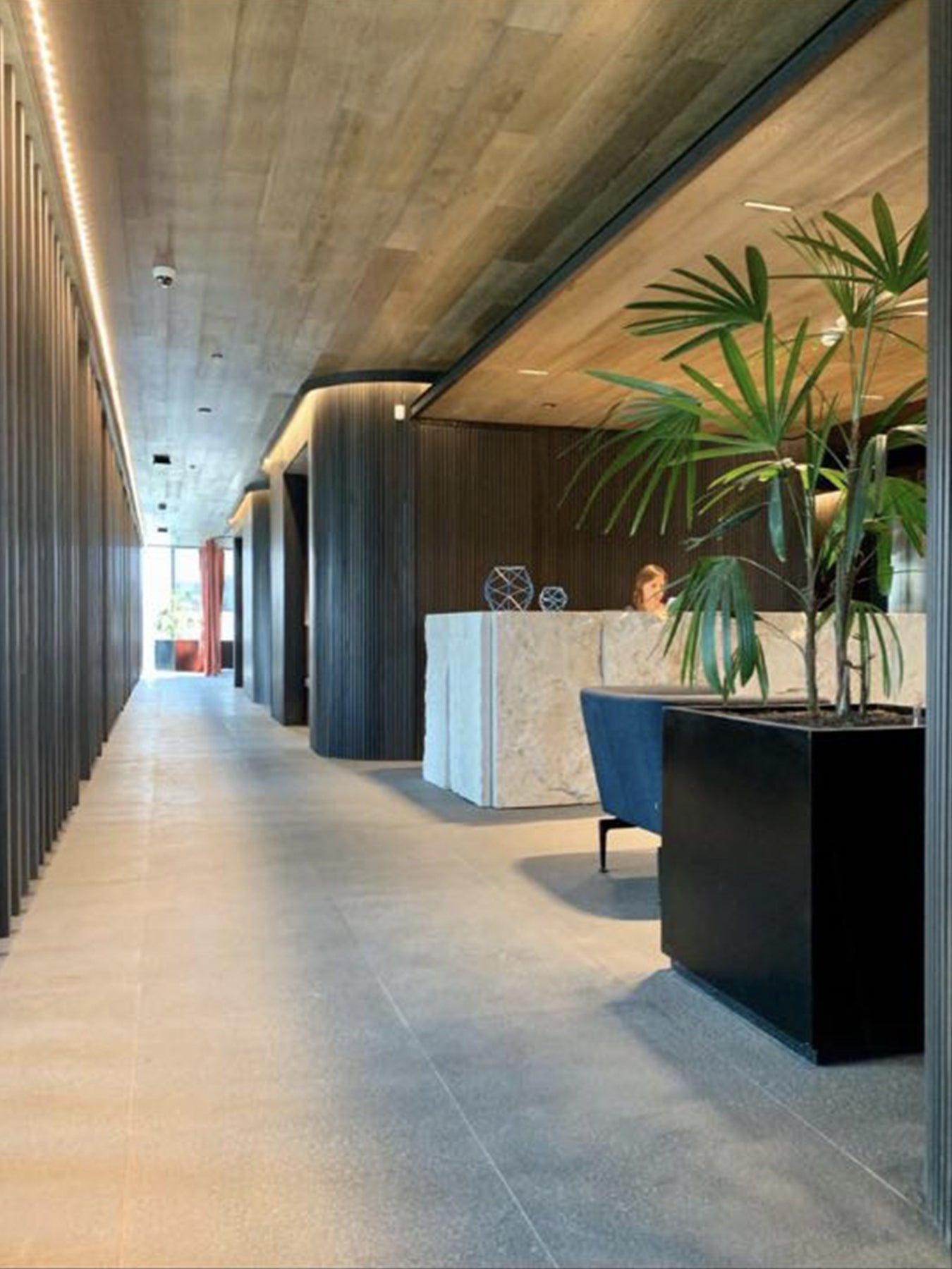 Imagen de portafolio