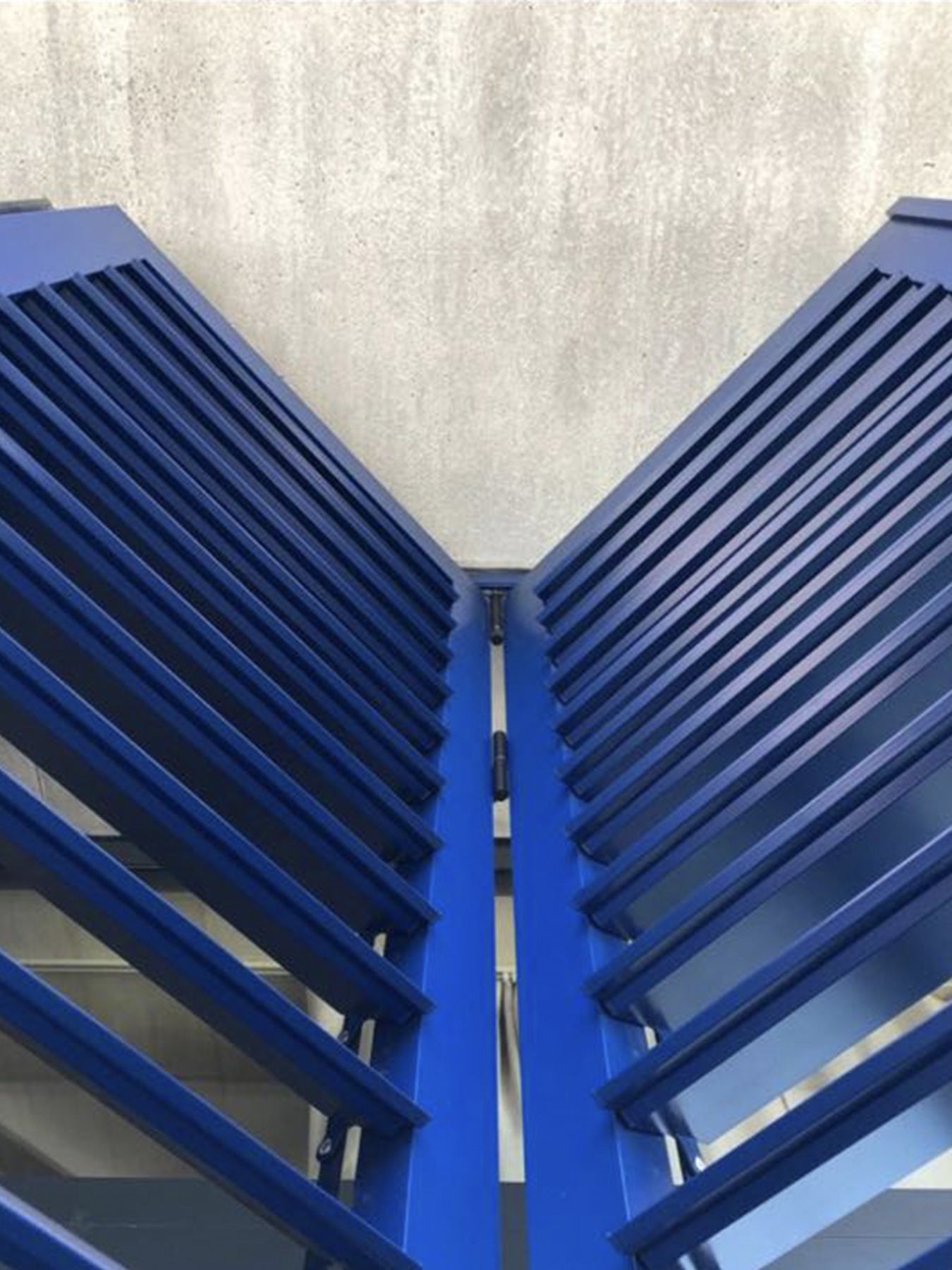 Imagen de portafolio