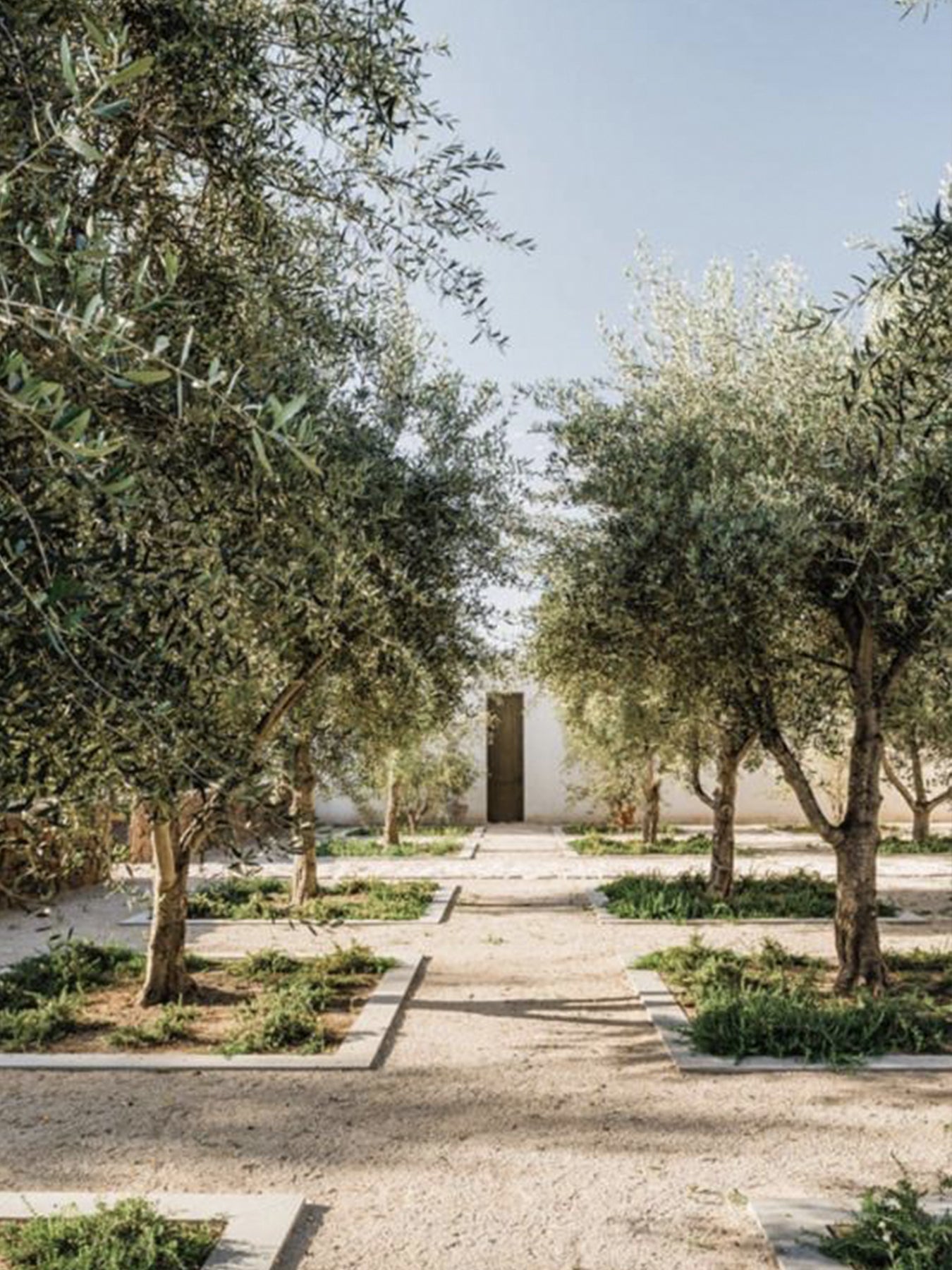 Imagen de portafolio