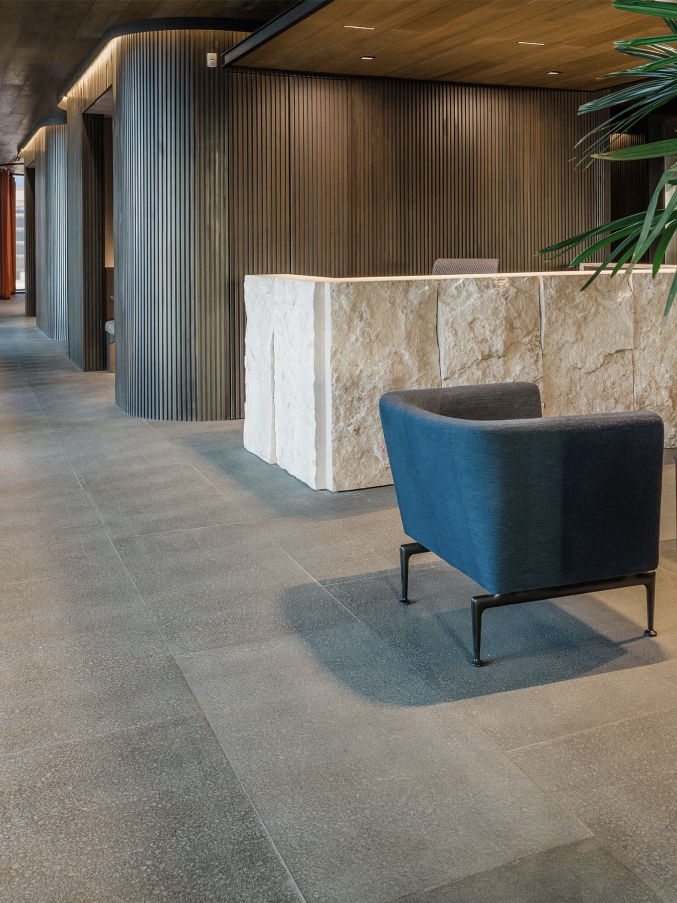 Imagen de portafolio