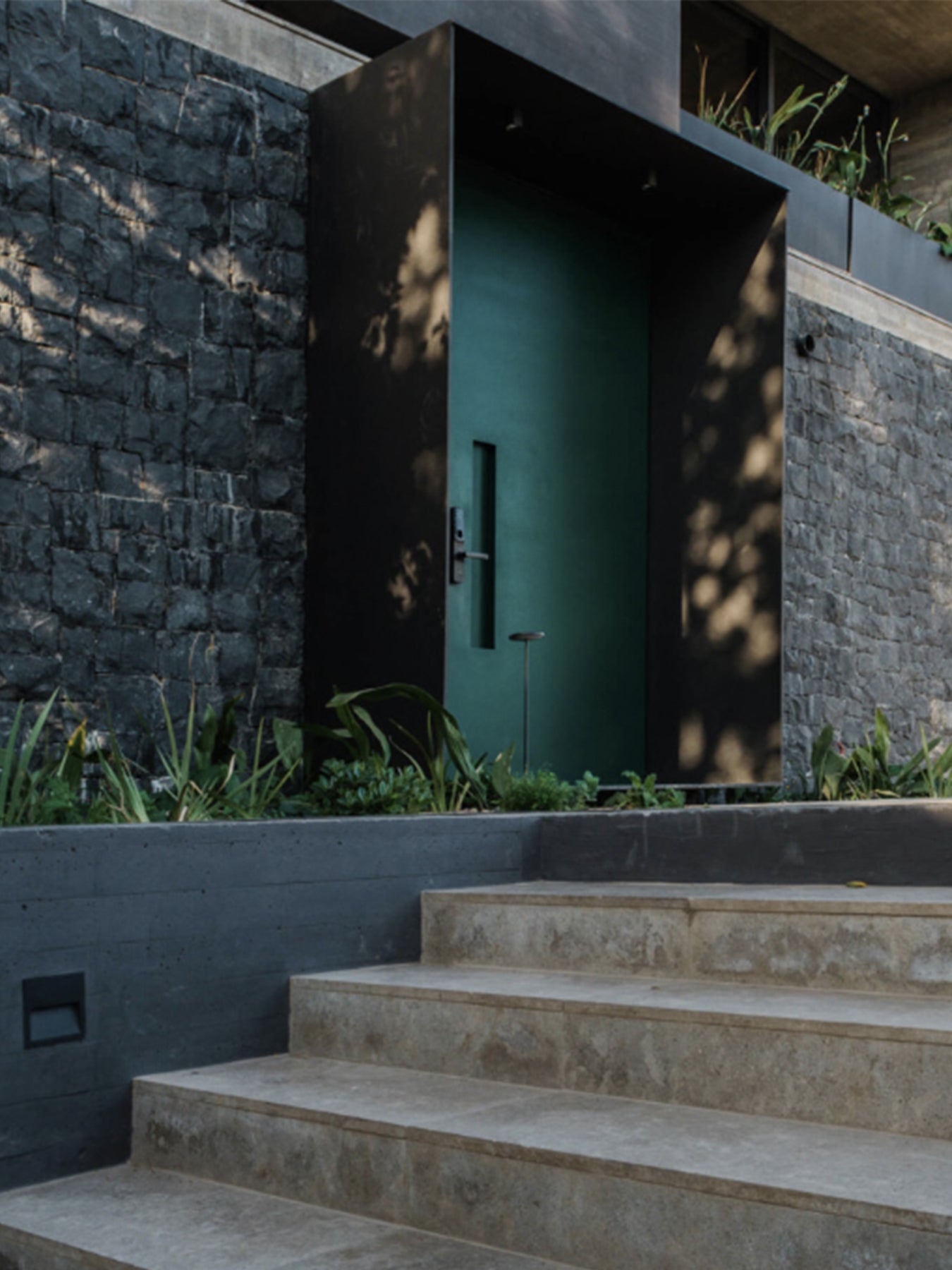 Imagen de portafolio