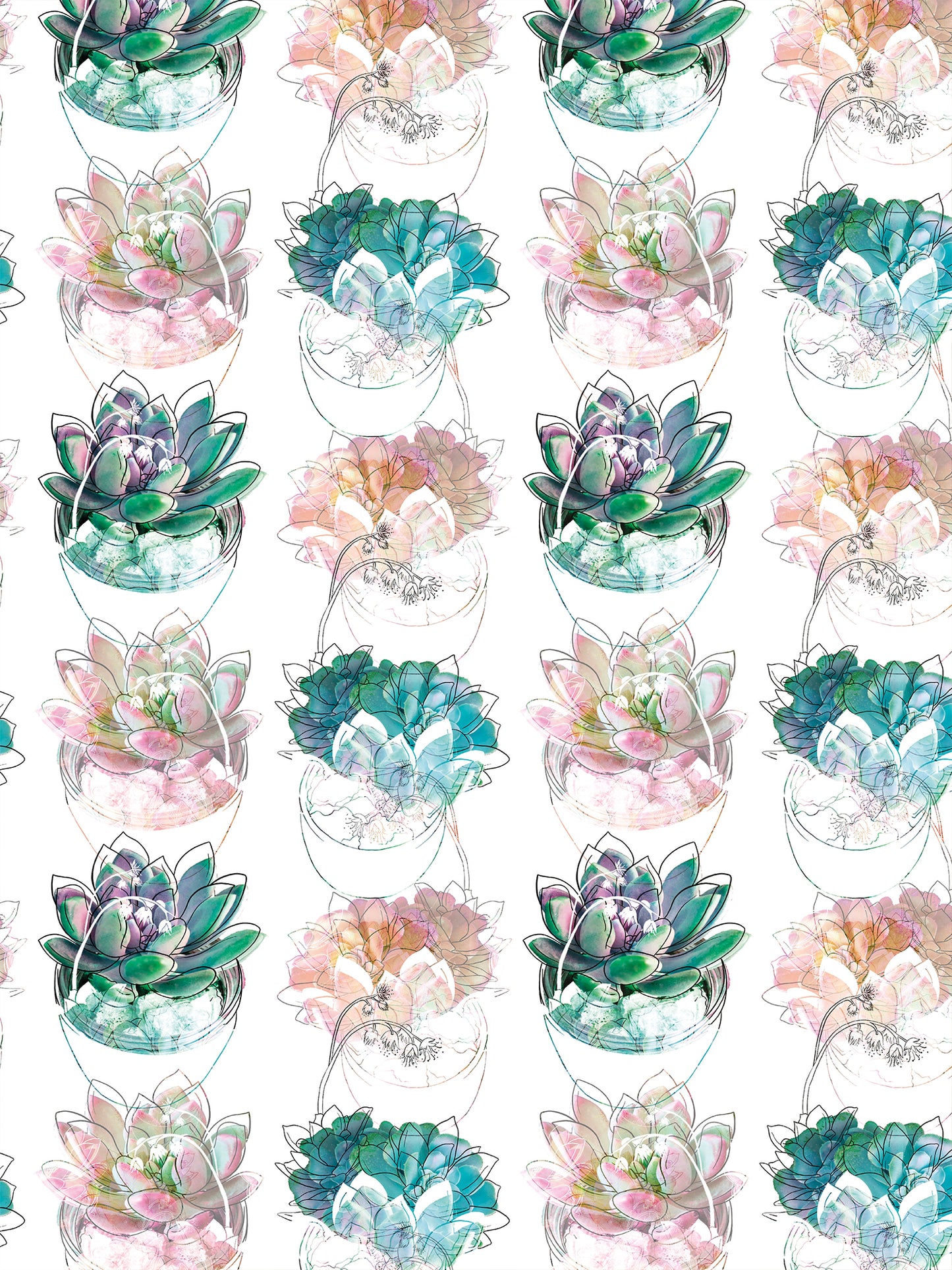 Papel Mural / Acuasuculentas