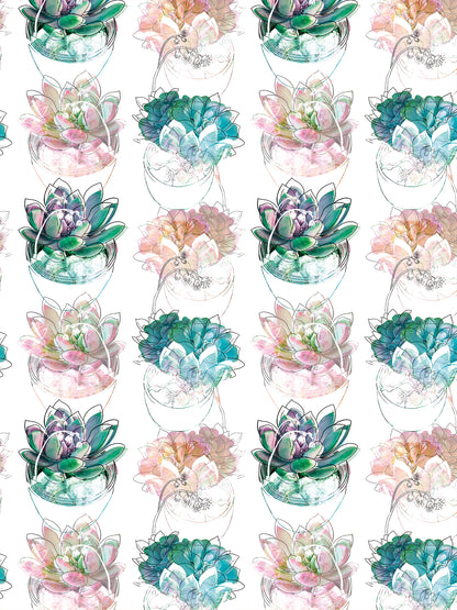 Papel Mural / Acuasuculentas