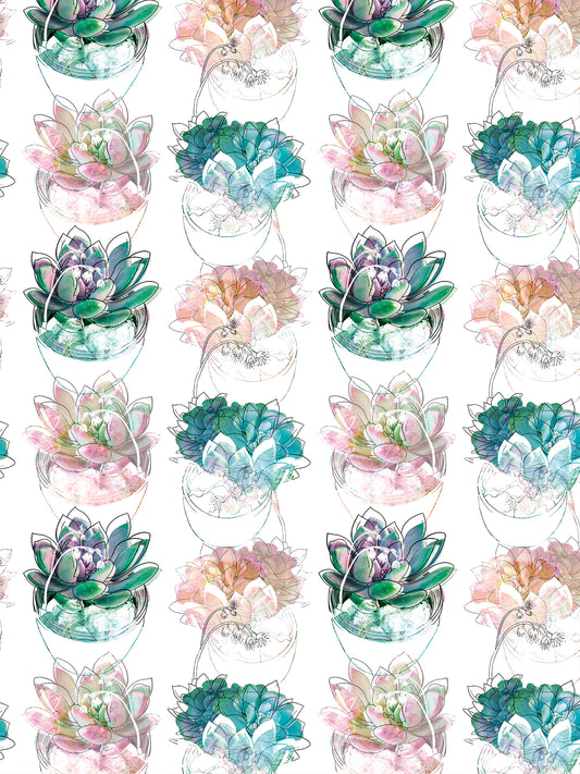 Papel Mural / Acuasuculentas