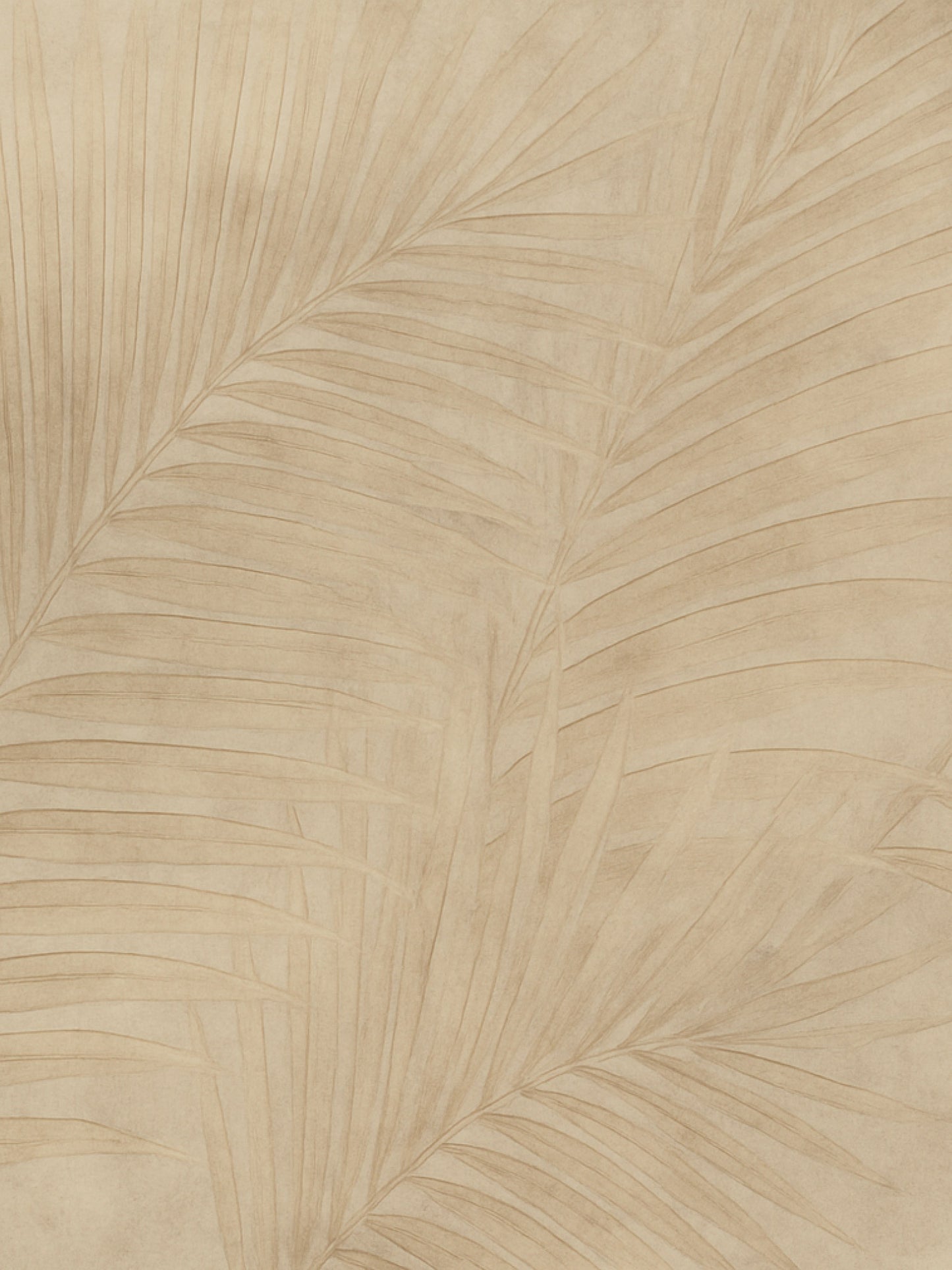 Papel Mural / Almera