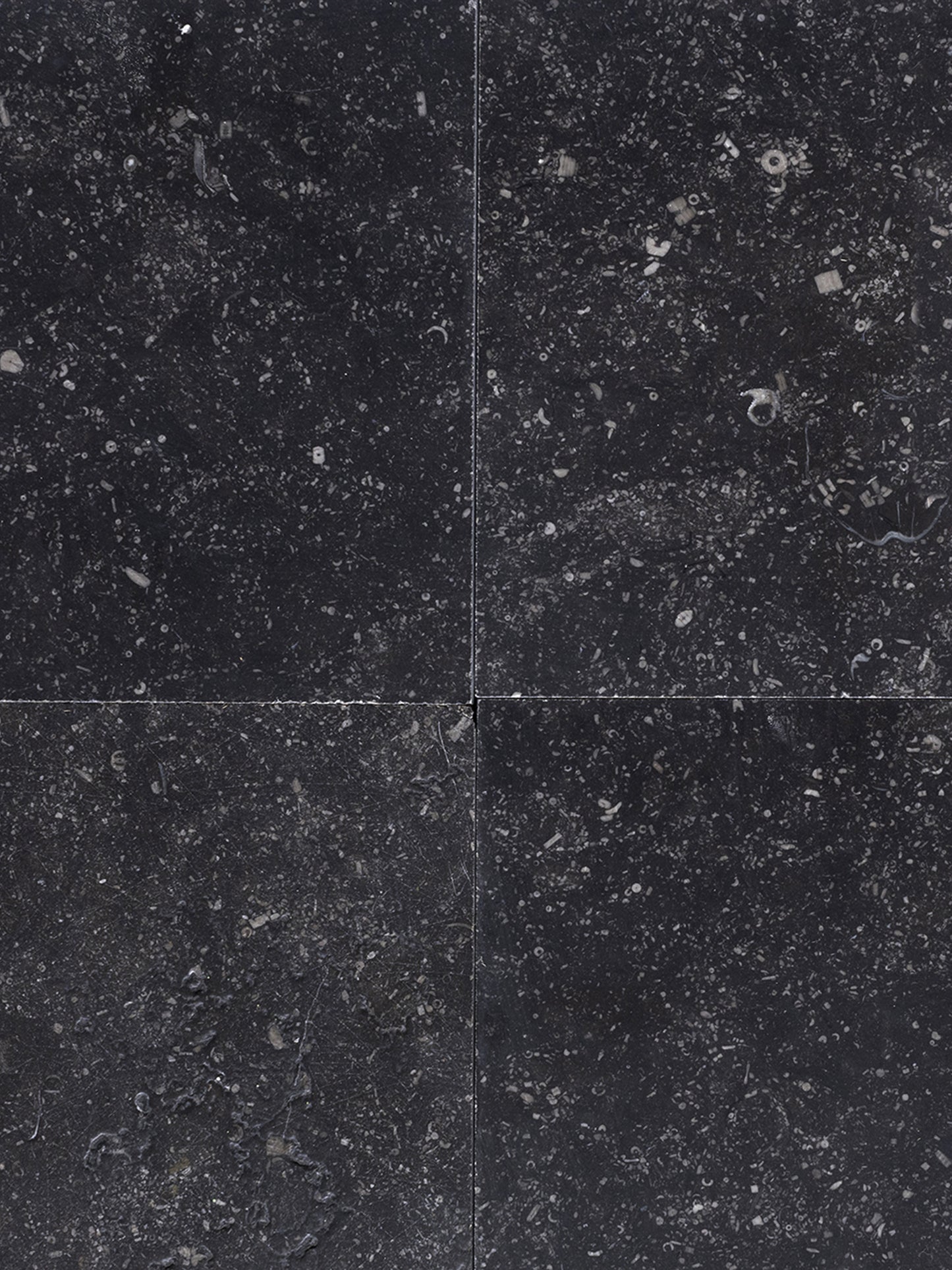 Bluestone Belga Pulida