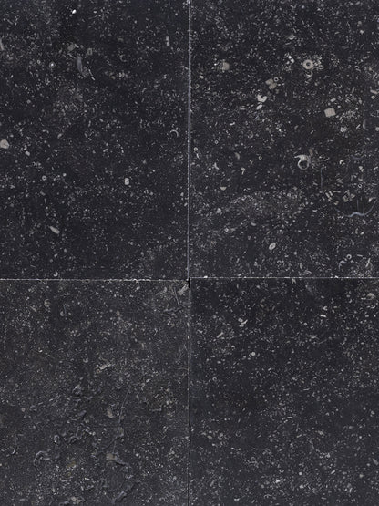 Bluestone Belga Pulida