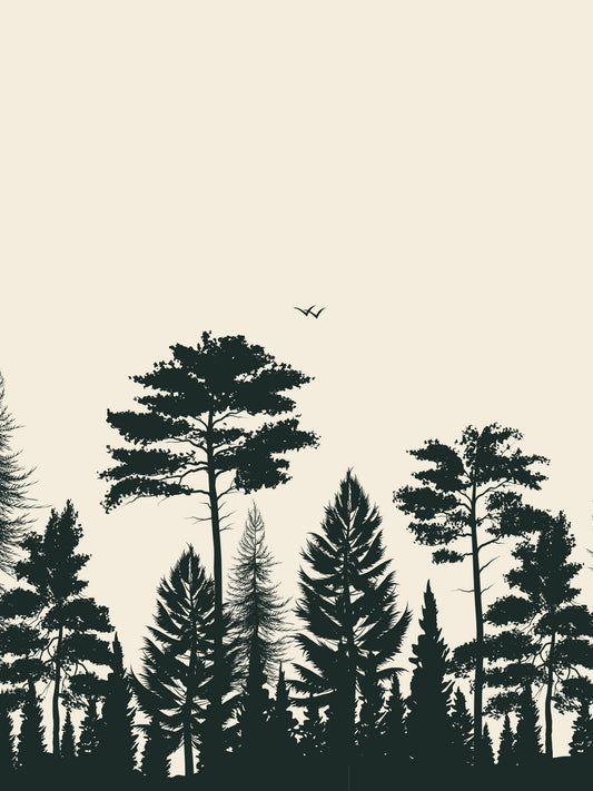 Papel Mural / Fly fly