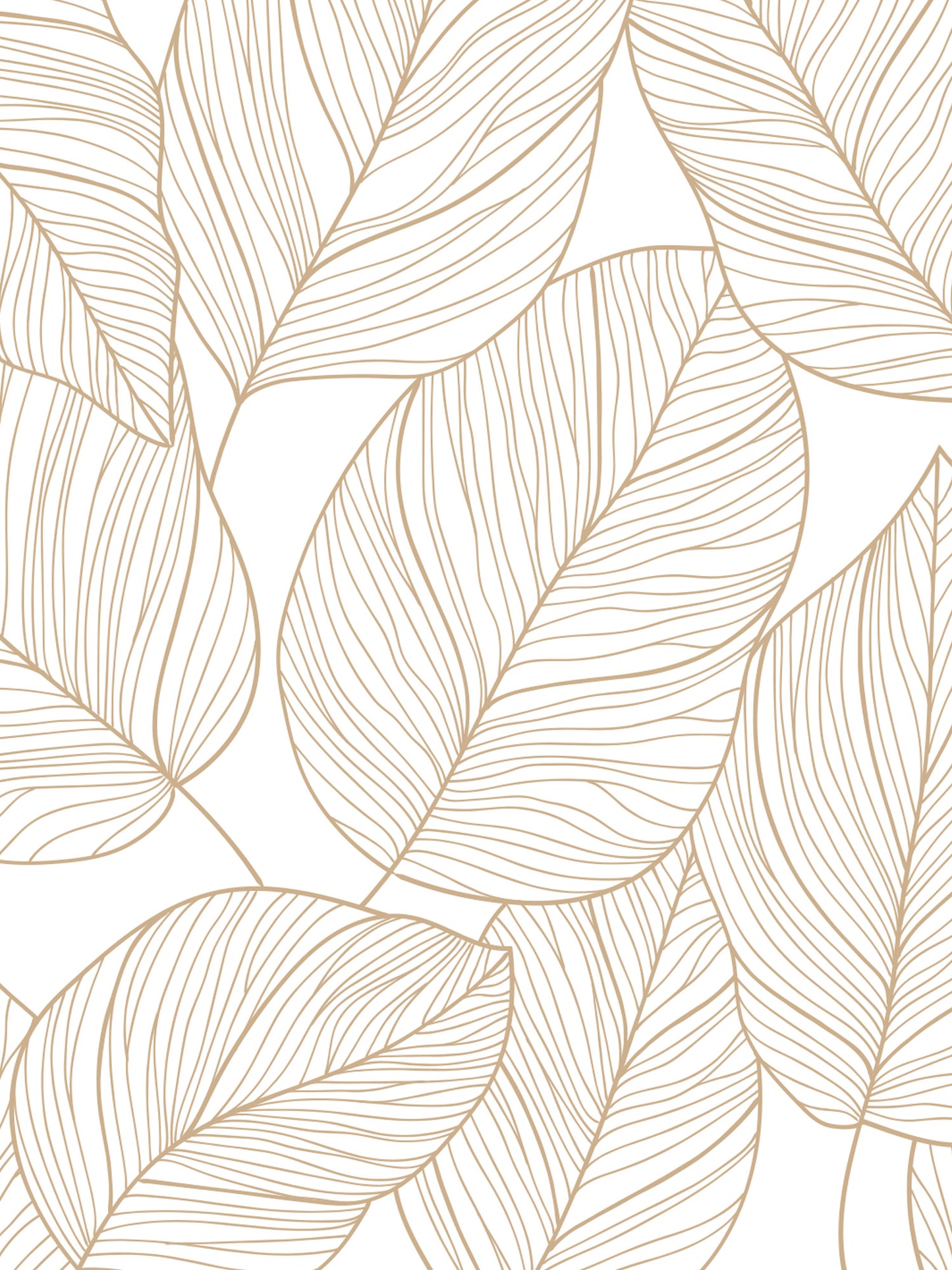 Papel Mural / Hoja manta