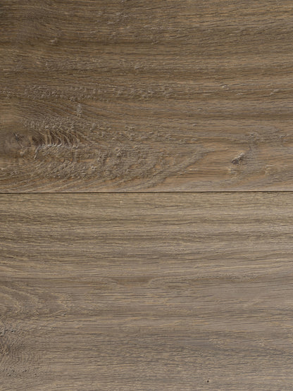 IMDI Chocolate Dream