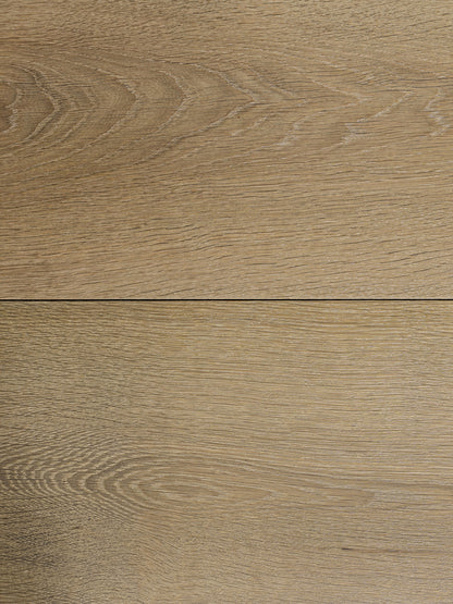 IMDI Chocolate Iced Age