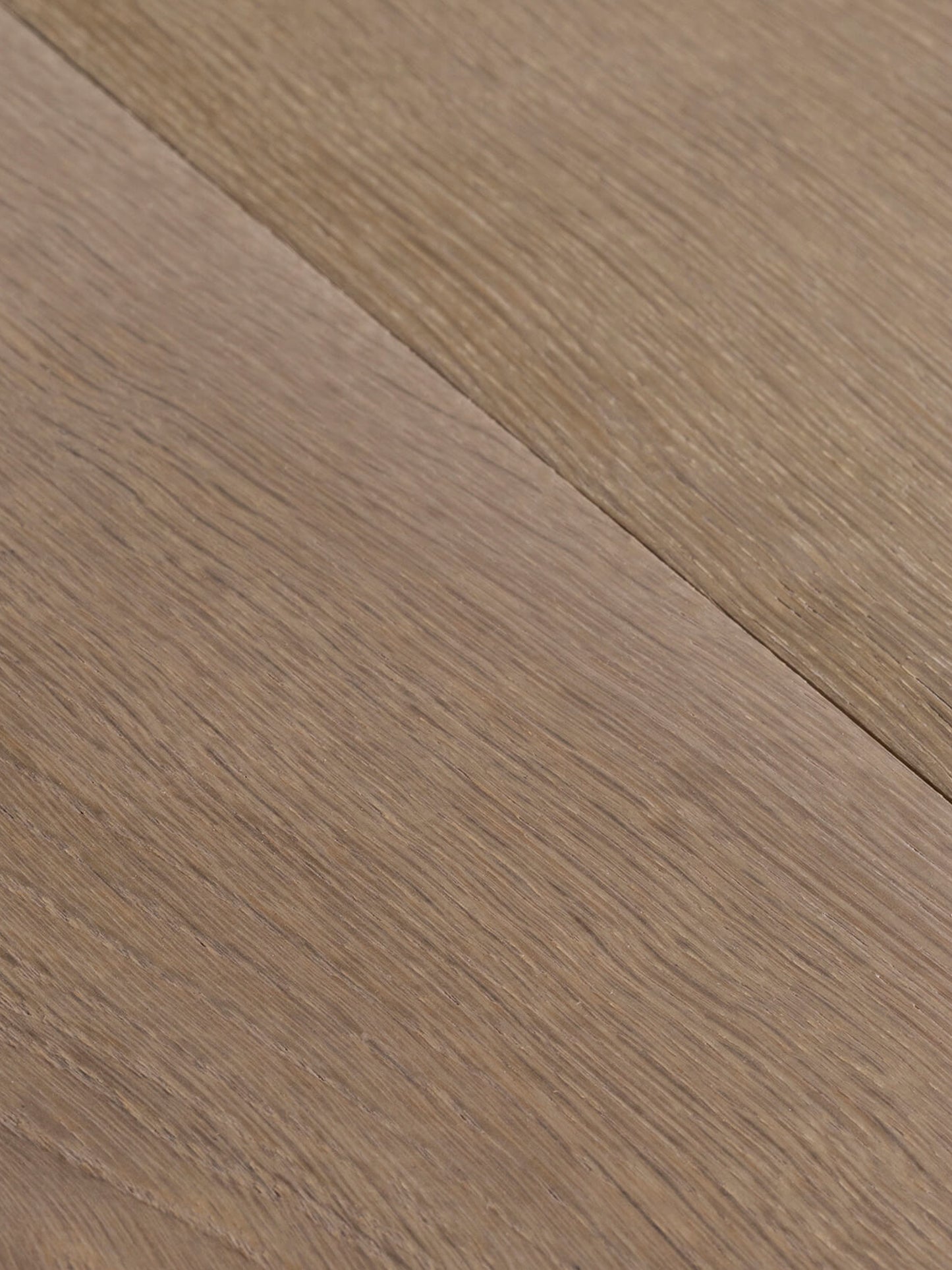 IMDI Chocolate Iced Age