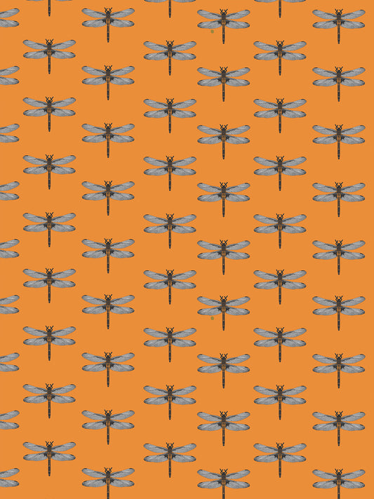 Papel Mural / Libélula B