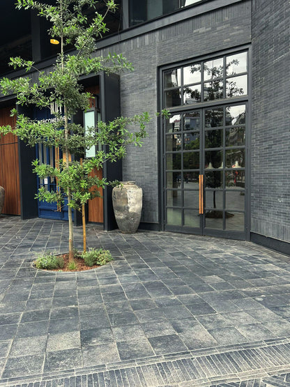 Limestone India Kadapa Black and cut edge