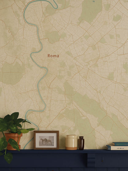 Papel Mural / Mapa de roma