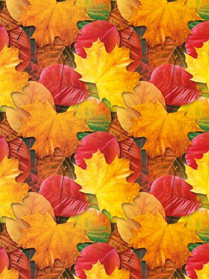 Papel Mural / Otoñal