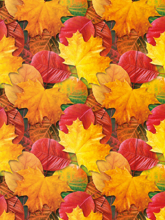 Papel Mural / Otoñal