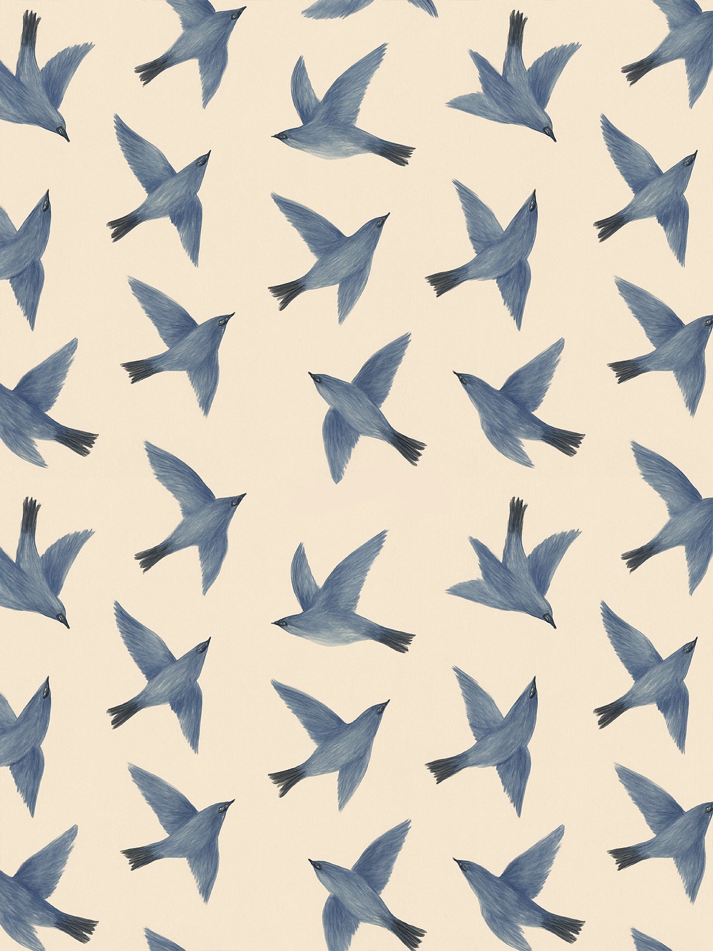 Papel Mural / Pájaros volando