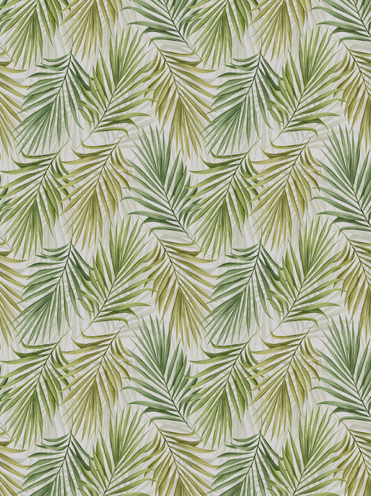 Papel Mural / Palma-A