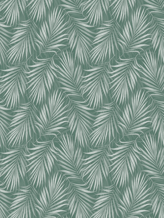 Papel Mural / Palma-C