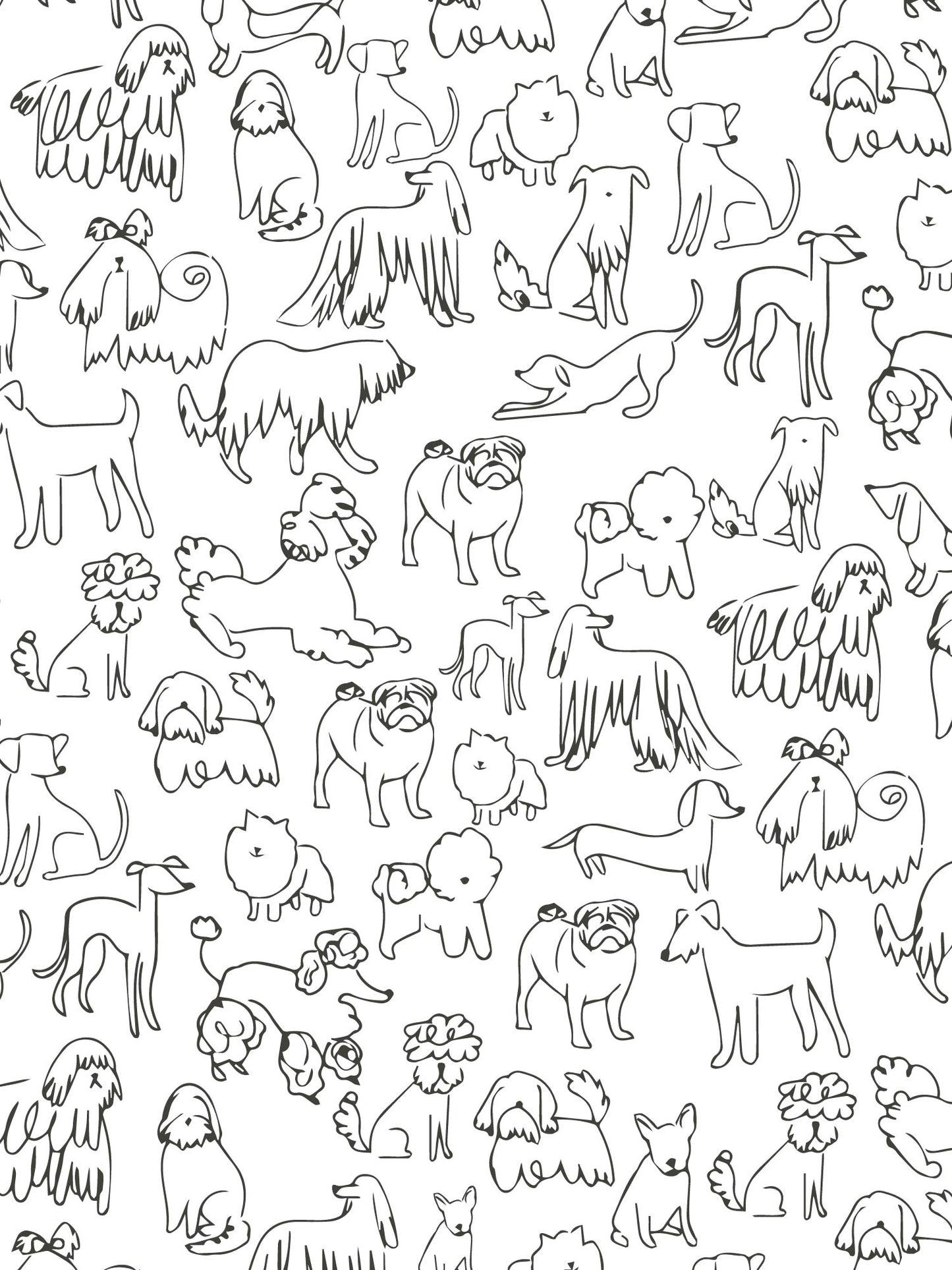 Papel Mural / Perruno