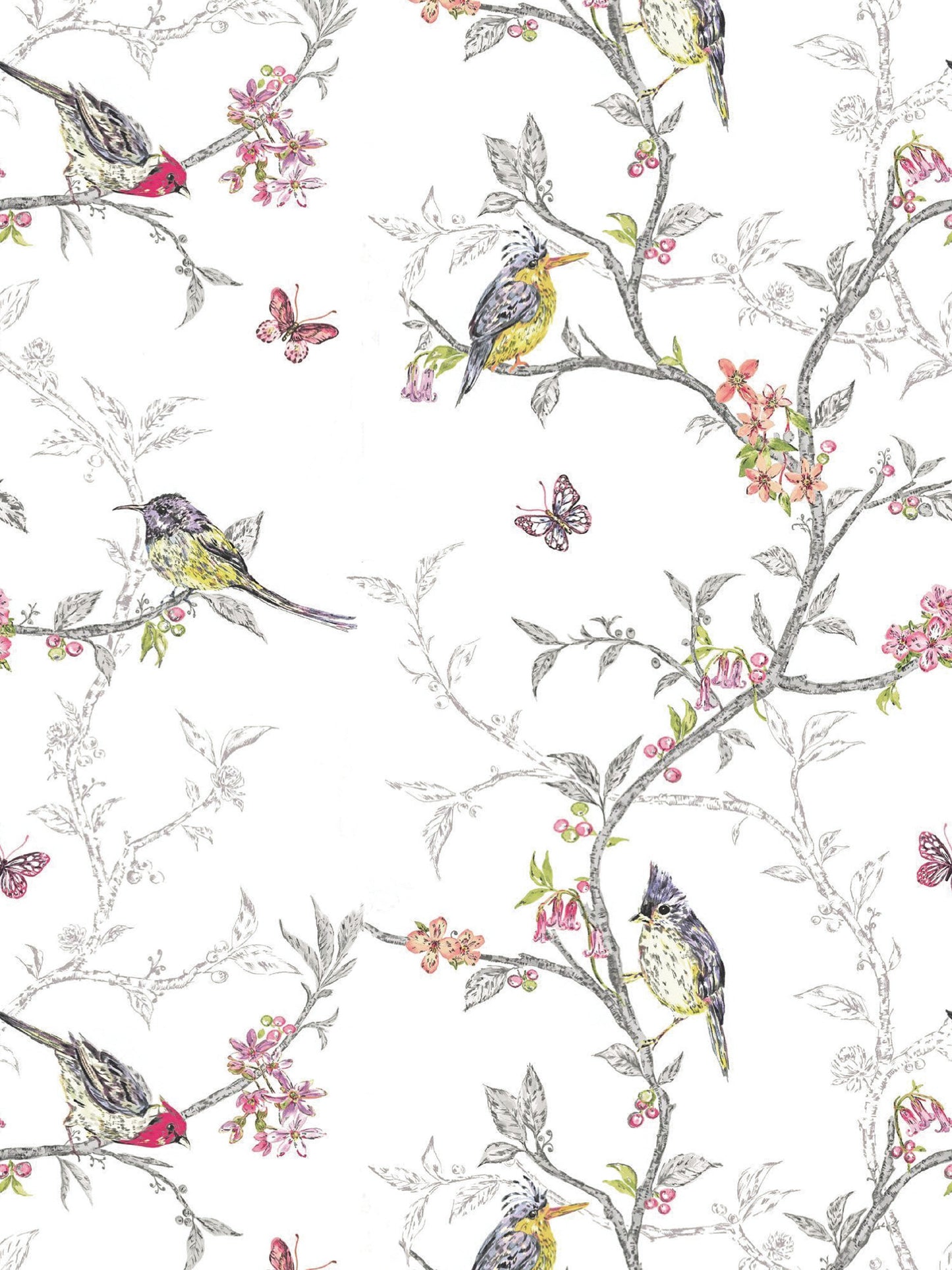 Papel Mural / Pio pio