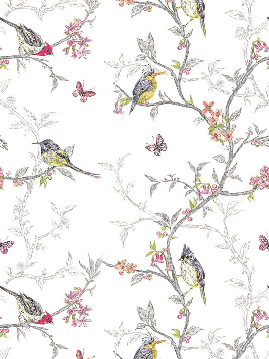 Papel Mural / Pio pio