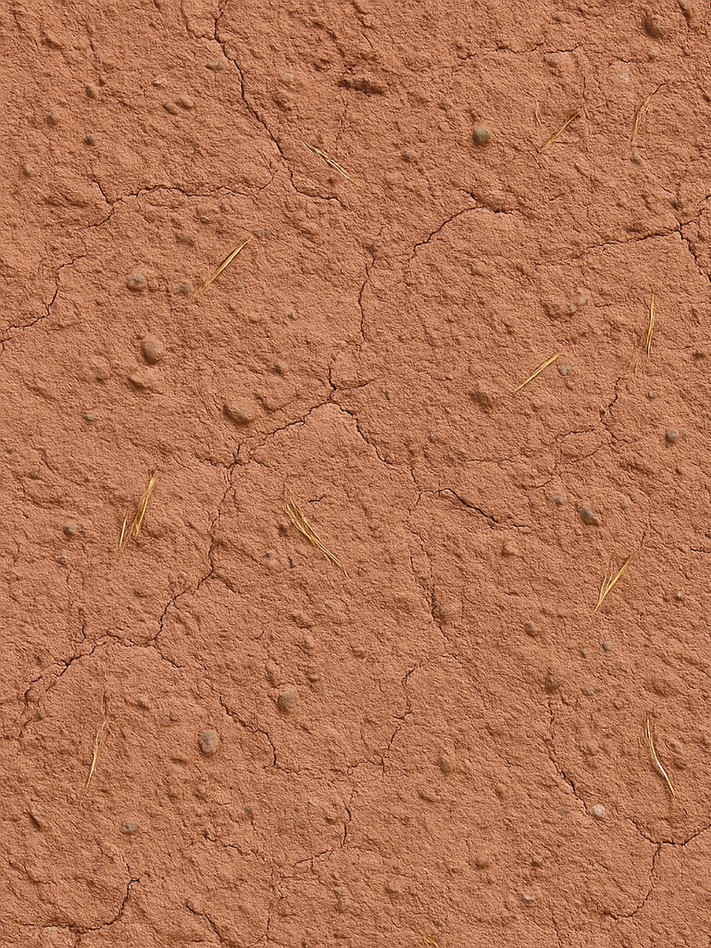 Papel Mural / Revoque de adove