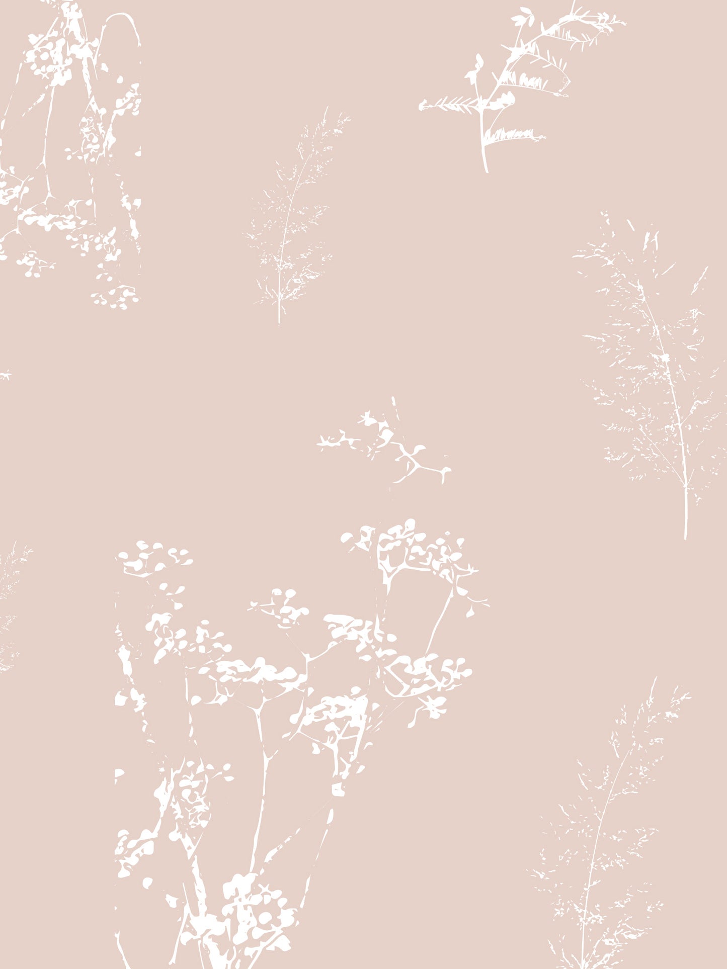 Papel Mural / Semillas