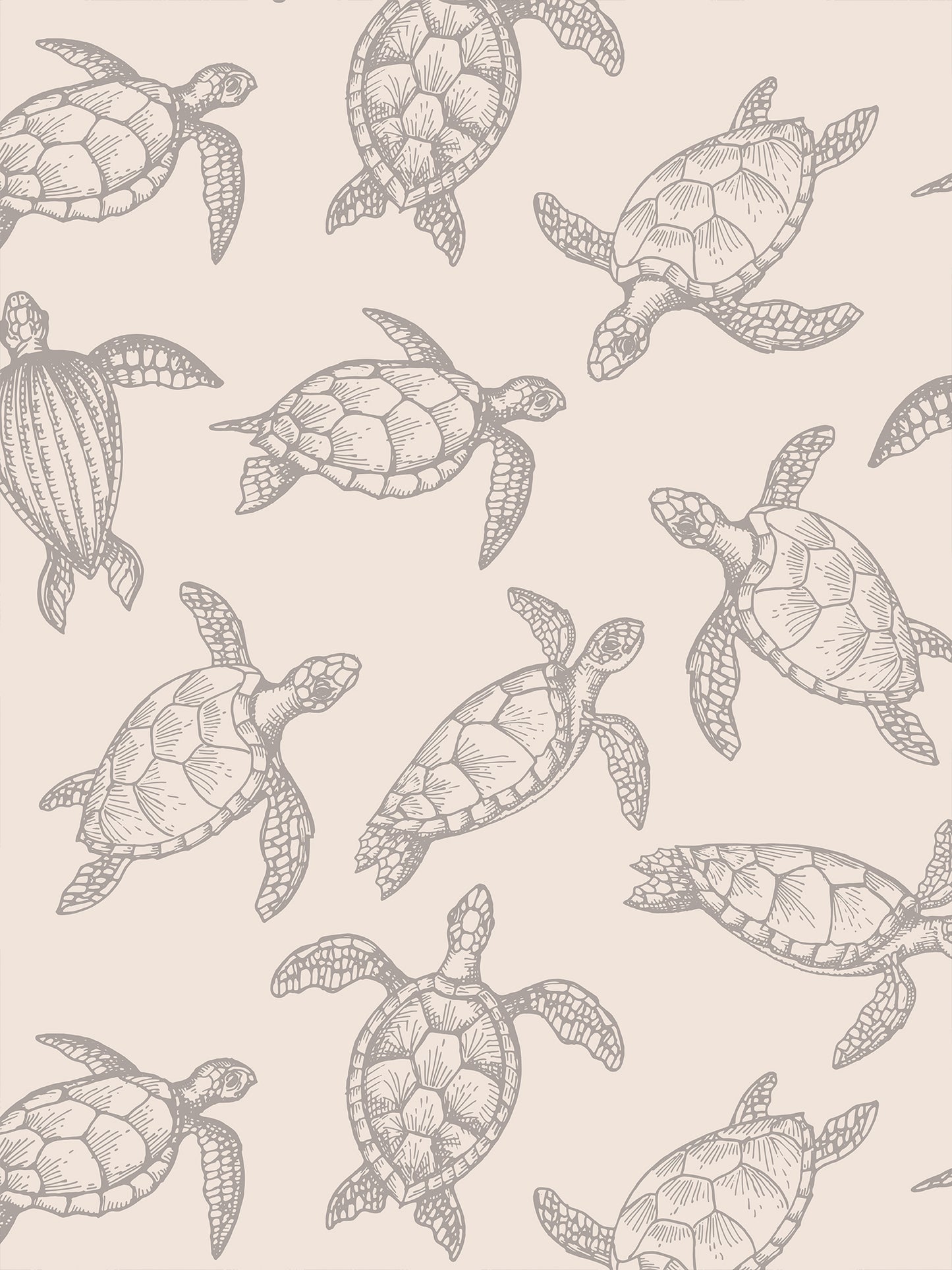 Papel Mural / Tortugas del Alba