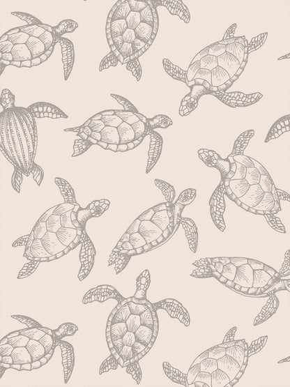 Papel Mural / Tortugas del Alba