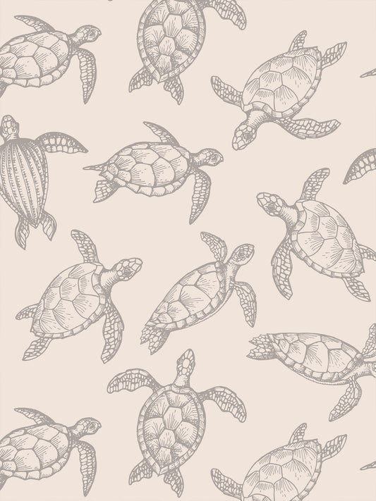 Papel Mural / Tortugas del Alba