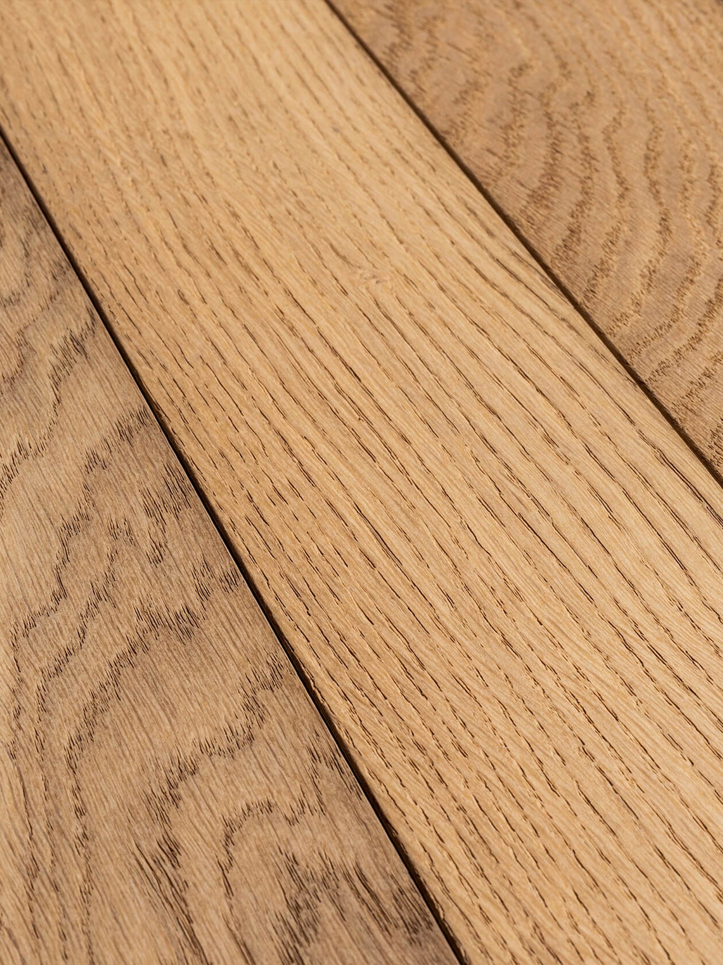 VIF 1904 Cielos y Muros