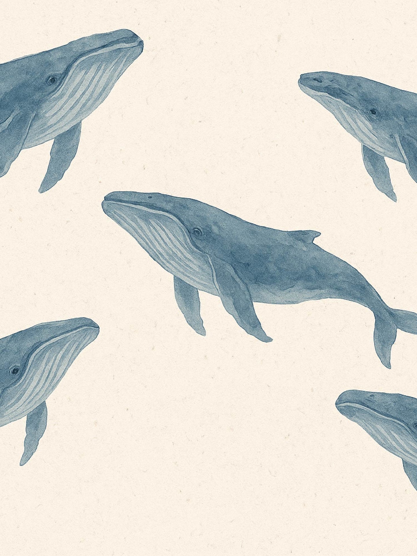 Papel Mural / Vida de ballenas