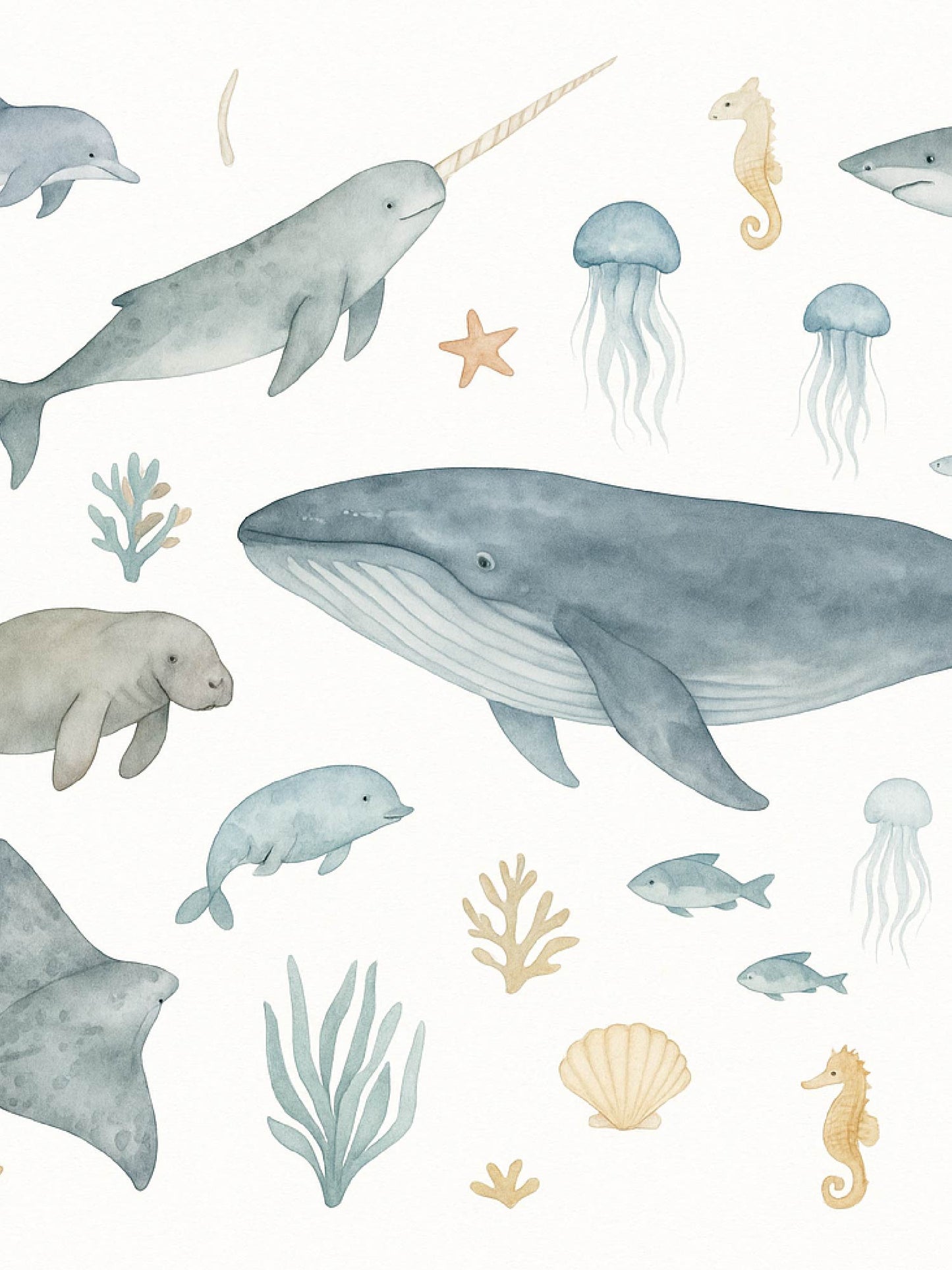 Papel Mural / Vida marina