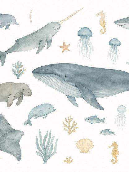 Papel Mural / Vida marina