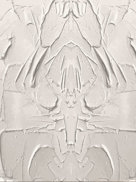 Papel Mural / Yeso Vivo